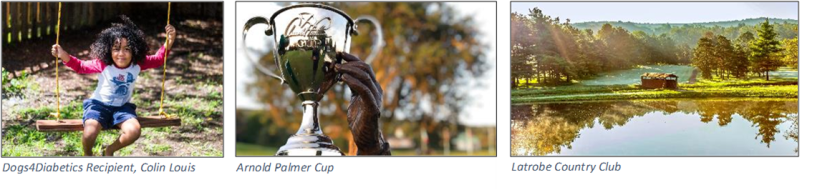 Arnold & Winnie Palmer Foundation collage