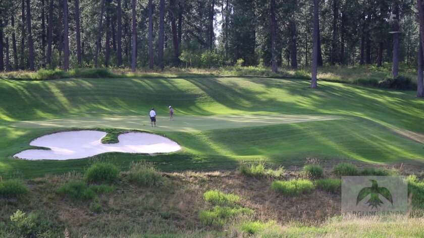 Circling-Raven-7th-green.jpg