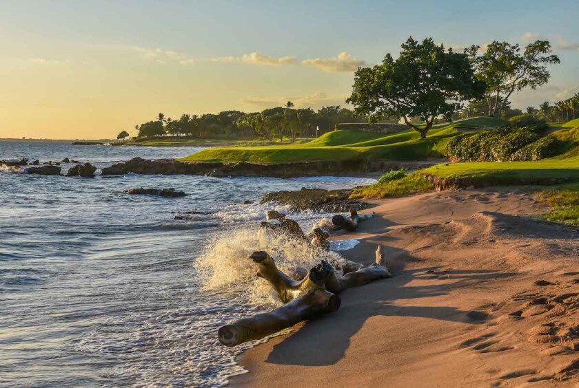 Hole 5 - Ocean.jpg