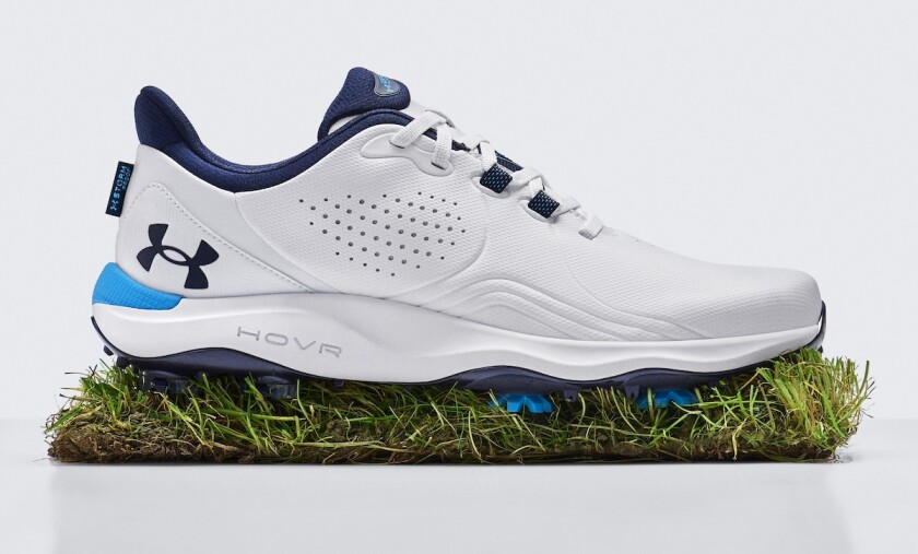 Shoe with Grass (1).jpeg