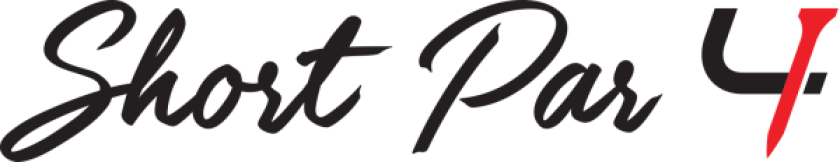 19a5d723-3f09-495d-8eb3-fdf1ce0c74c7_600x116.png