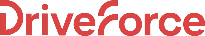 DF - Primary Logo - Flagstick.jpg