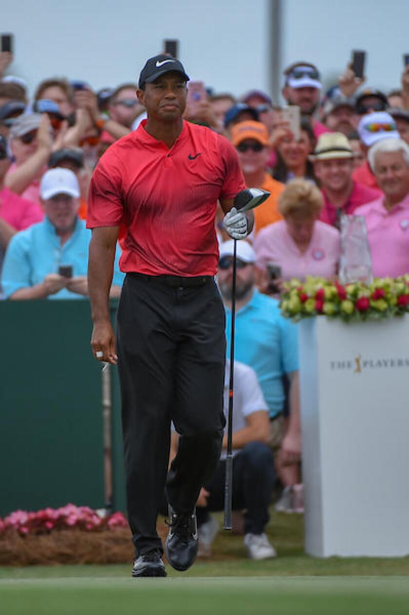 Tiger Woods