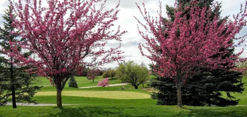 Landscapes Golf Management -- Kane County-Hughes Creek G.C. Photo No. 1.png
