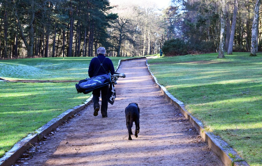 Alistair-Tait-and-dog-Izzy.jpeg
