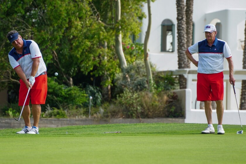 Golf chip in.jpg