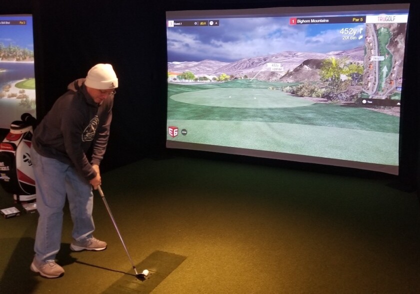 GVS.simulator.jpg