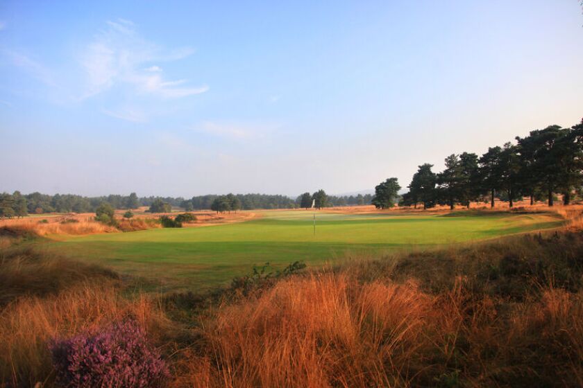 hankley_10th_1.jpg