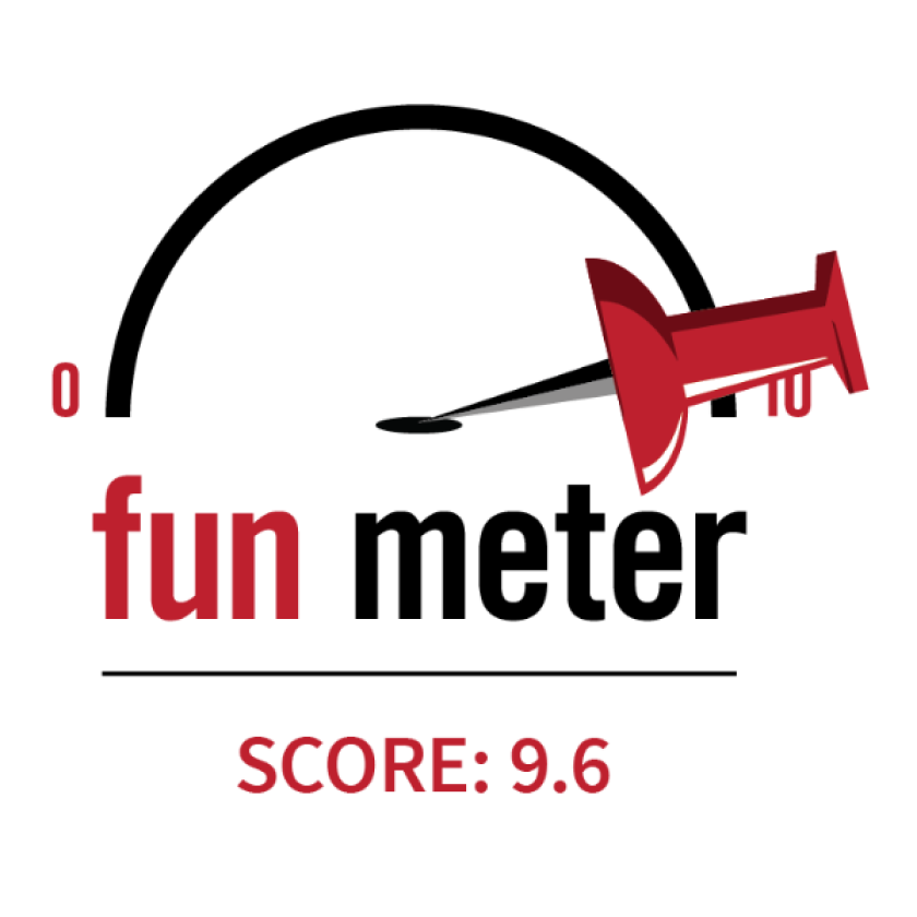9.6 Fun Meter Score