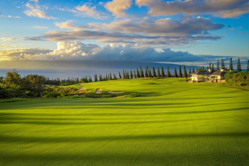 Kapalua Plantation_18 photo credit - Dave Sansom.jpg