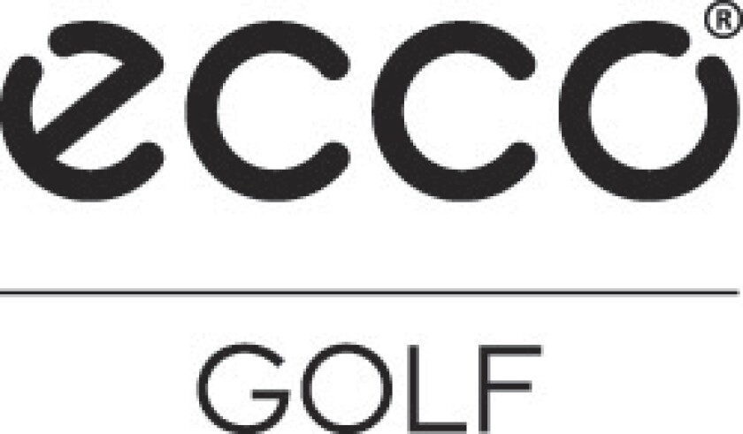 ECCO_LOGO_GREY