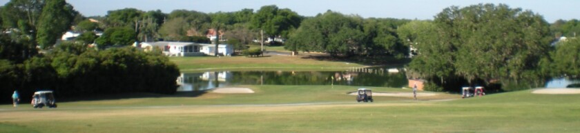 Villages-golfers.jpg