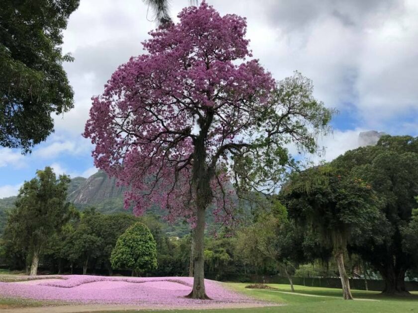 Itanhanga Golf Club in Rio de Janeiro